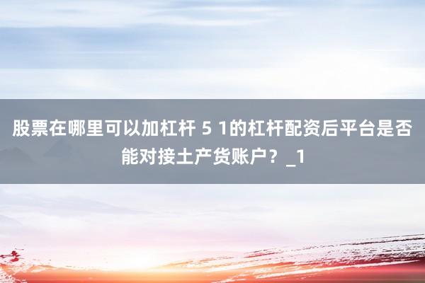 股票在哪里可以加杠杆 5 1的杠杆配资后平台是否能对接土产货账户？_1