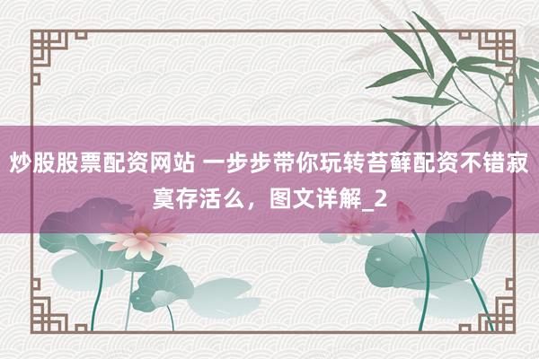 炒股股票配资网站 一步步带你玩转苔藓配资不错寂寞存活么，图文详解_2
