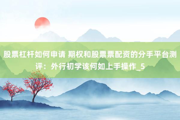 股票杠杆如何申请 期权和股票票配资的分手平台测评：外行初学该何如上手操作_5