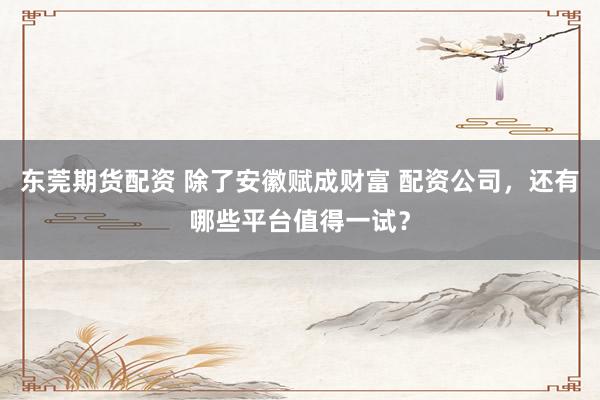 东莞期货配资 除了安徽赋成财富 配资公司，还有哪些平台值得一试？