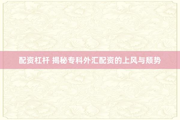 配资杠杆 揭秘专科外汇配资的上风与颓势