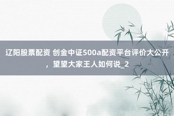 辽阳股票配资 创金中证500a配资平台评价大公开，望望大家王人如何说_2