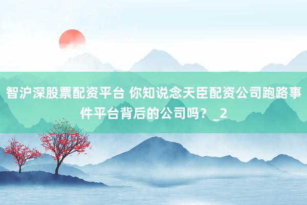 智沪深股票配资平台 你知说念天臣配资公司跑路事件平台背后的公司吗？_2